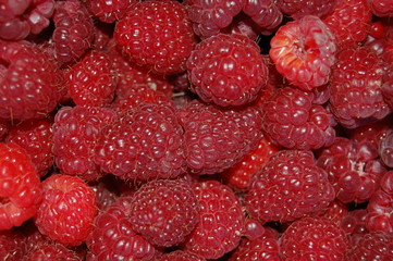raspberry