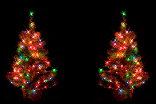 Dual Christmas Trees