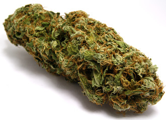 marijuana13