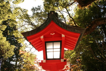 Lantern