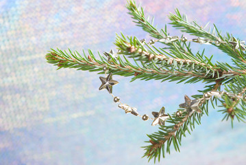 Bright asterisks on coniferous branch, embellishment cristmas