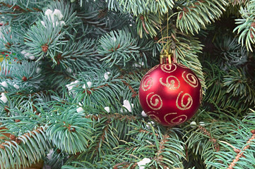 xmas tree and red ball