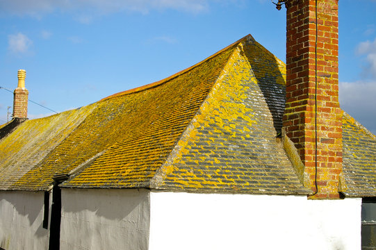 Yellow Roof