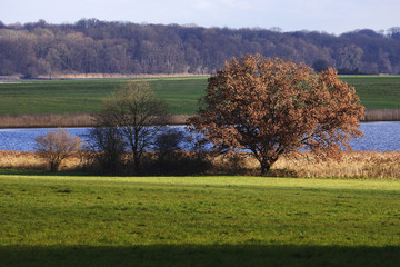 Fototapeta premium Automne en Lorraine