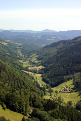 Vallée des Vosges