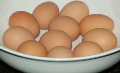 Bowl of Eggs