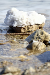 salt on the stone of Dead sea Israel