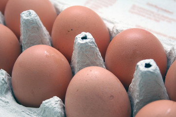 Braune Eier