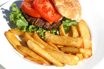 Hamburger and Fries