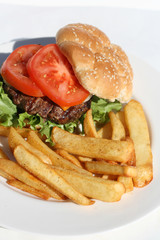 Hamburger and Fries