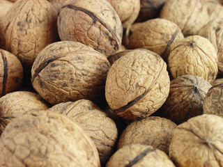 walnut