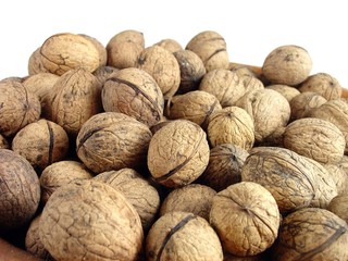walnut