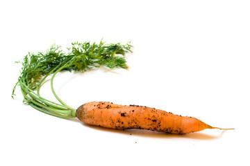 dirty carrot with green isolated on white