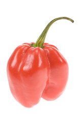 red cayenne pepper