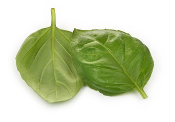 two basil leaves