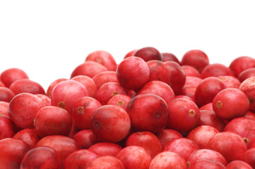 cranberry on white background