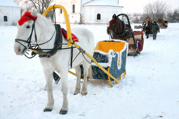 Trip in the sleighs along the streets of city Suzdal