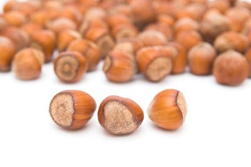 hazel nuts isolated over white background