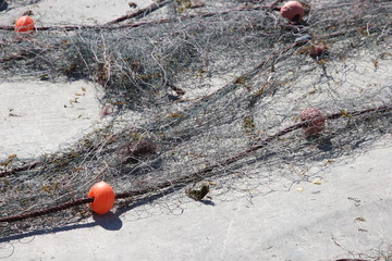 Fishing Net