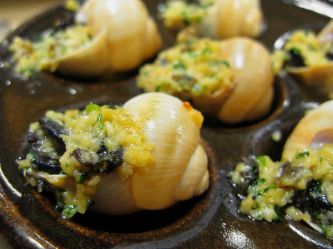 Yummy France Food Escargot Extreme Close Up