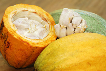 cacao 5