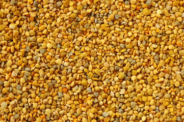 Natural background. Bee pollen, larger magnification.