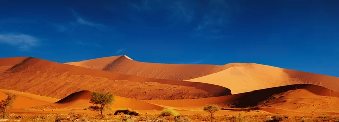 Zelfklevend Fotobehang Namib-woestijn © Dmitry Pichugin