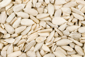 fresh sunflower seeds