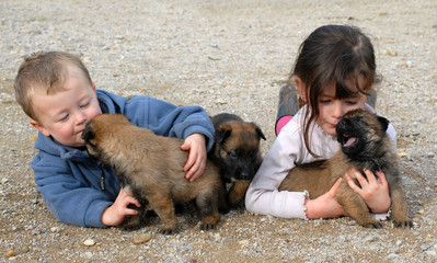 enfants et bébés chiens