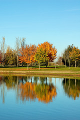 reflet d'automne sur un lac