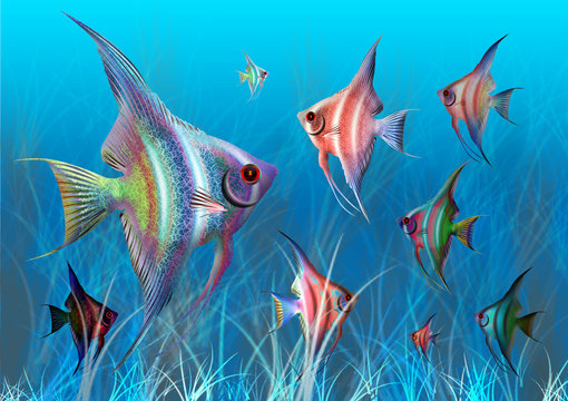 acuario