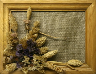 Obraz premium Frame with sear flowers