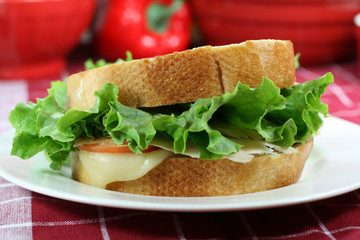 Turkey Sandwich