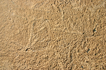 Fraser Island, Australia..