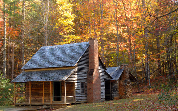 Log cabin in a wooded setting during the autumn season