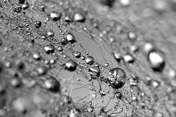 Fototapety  silver drops
