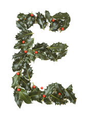 Holly With Berry Letter E