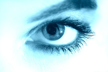 The Look