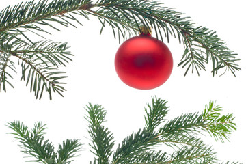 bauble on christmas tree