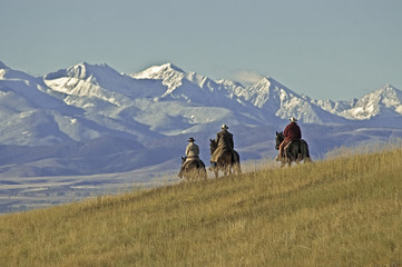 Cowboys on the range on a Montana horse ranch - obrazy, fototapety, plakaty