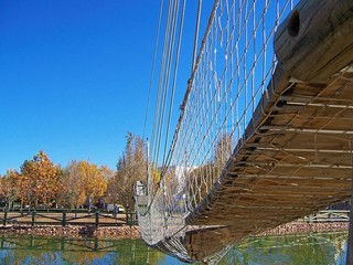 Lago en Don Benito 5