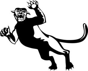 Black panther attacking