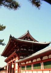 Fototapeta premium Techo Templo Nara - Japon