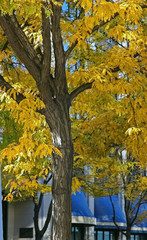 colors of the seasons