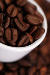 roasted coffee beans