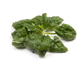 Spinach