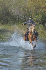 American cowboy charging into river