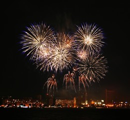 Fototapeta premium Firework