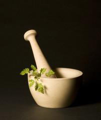 pillon et brin de persil