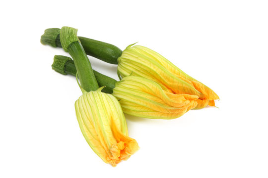 Courgette Flowers